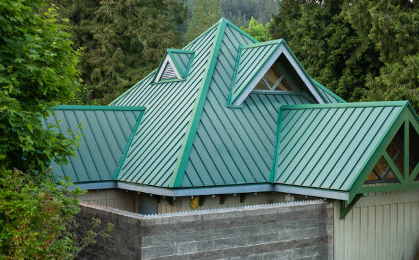 Best Roof Moss and Algae Removal  in Baltimore, OH